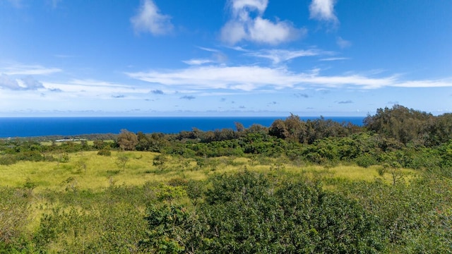 55-3581 Kaauhuhu Rd, Hawi, HI 96719