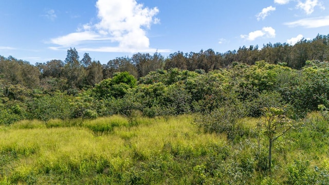 55-3581 Kaauhuhu Rd, Hawi, HI 96719