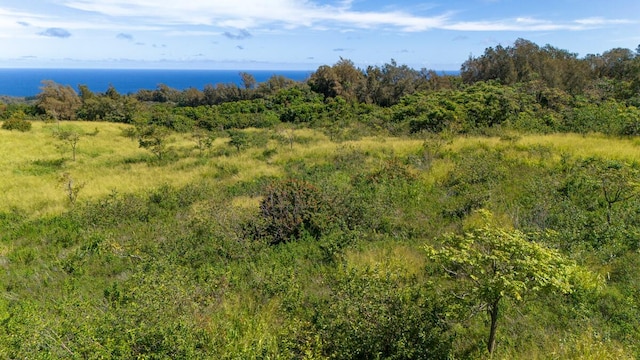 55-3581 Kaauhuhu Rd, Hawi, HI 96719