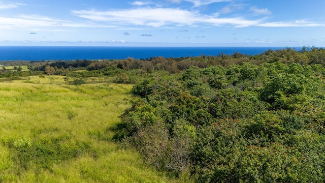 55-3581 Kaauhuhu Rd, Hawi, HI 96719