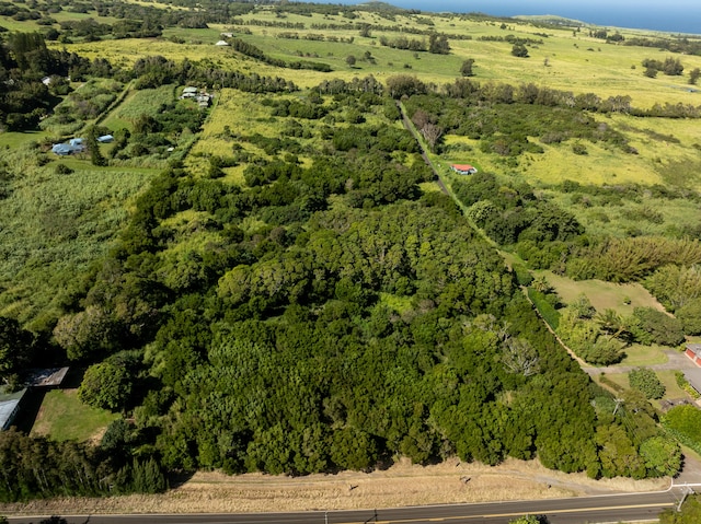 55-680 Hawi Rd, Hawi, HI 96719 - aerial overview of property's location with a forest