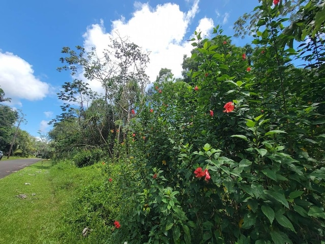Nenue St, Pahoa, HI 96778