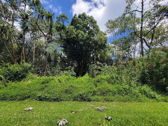 Nenue St, Pahoa, HI 96778
