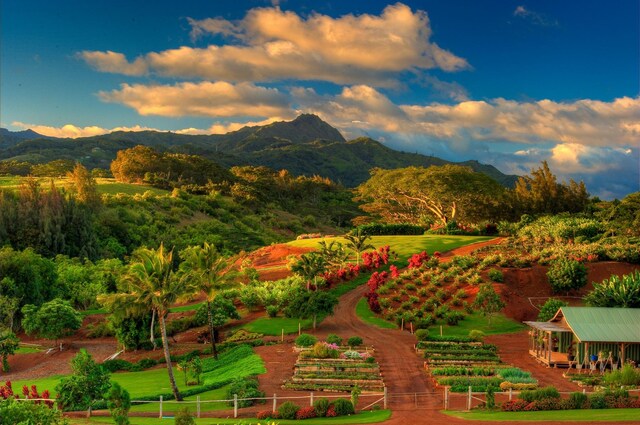 Kahela Pl, Koloa, HI 96756