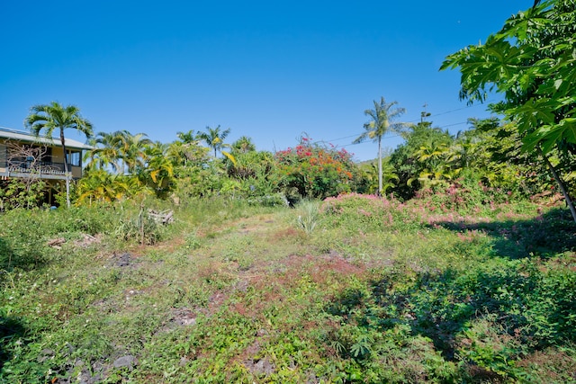 82-6285 Kahauloa St, Captain Cook, HI 96704