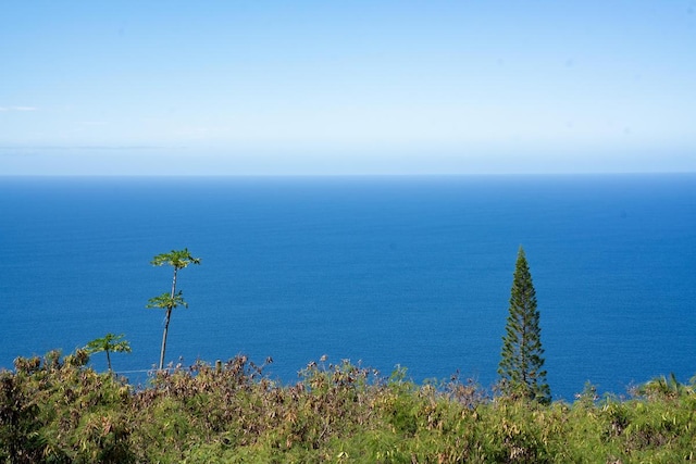 87-3219 Boki Rd, Captain Cook, HI 96704 - water view