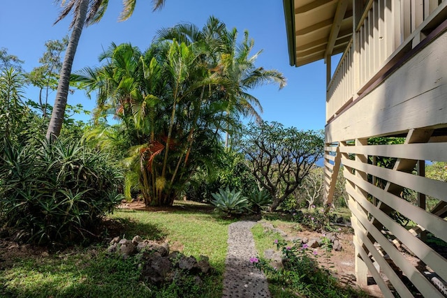 87-3219 Boki Rd, Captain Cook, HI 96704 - view of green lawn