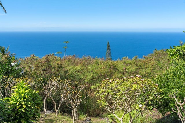 87-3219 Boki Rd, Captain Cook, HI 96704 - water view