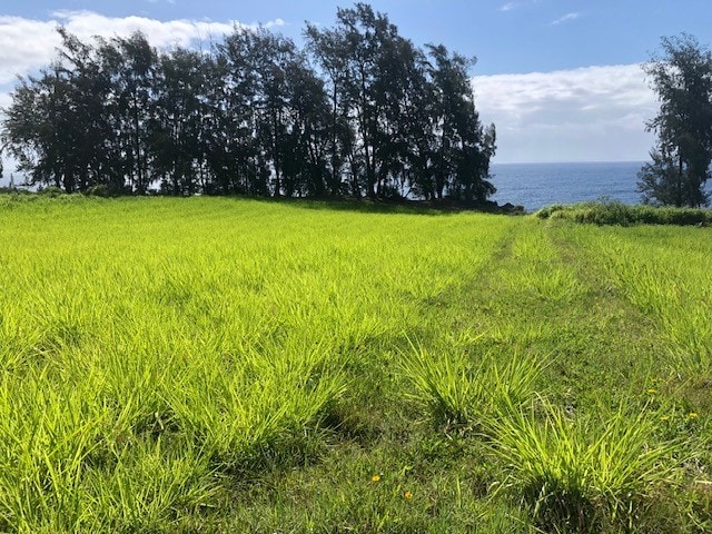 Loa Rd, Lot, Pepeekeo, HI 96783