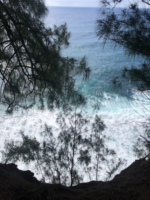 Loa Rd, Lot, Pepeekeo, HI 96783