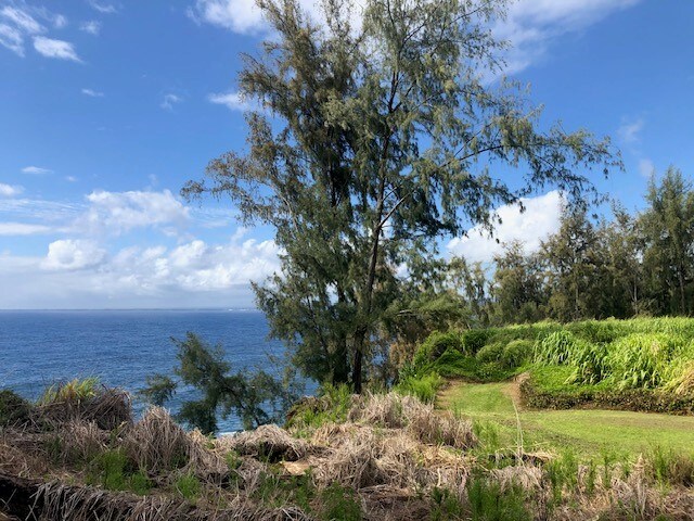 Loa Rd, Lot, Pepeekeo, HI 96783