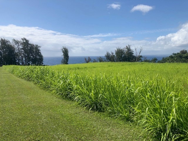 Loa Rd, Lot, Pepeekeo, HI 96783