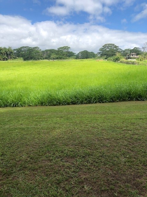 Loa Rd, Lot, Pepeekeo, HI 96783
