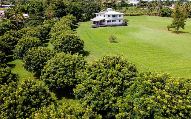 28-1167 Old Mamalahoa Hwy, Pepeekeo, HI 96783 - photo 1