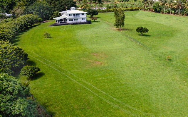 28-1167 Old Mamalahoa Hwy, Pepeekeo, HI 96783 - photo 19