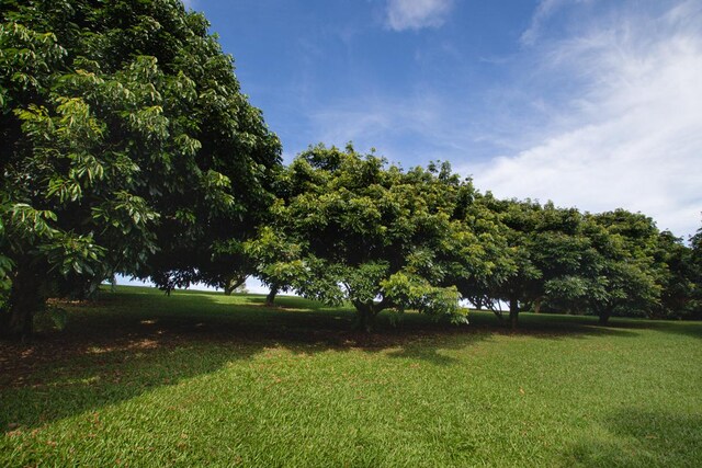 28-1167 Old Mamalahoa Hwy, Pepeekeo, HI 96783 - photo 21