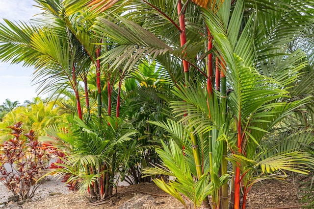 76-854 Pakalakala Pl, Kailua-Kona, HI 96740