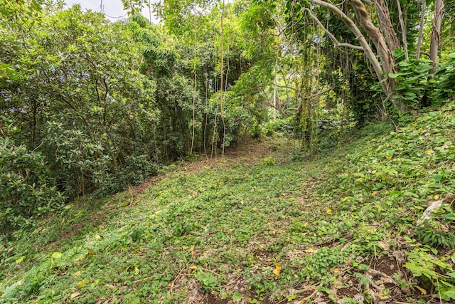 76-854 Pakalakala Pl, Kailua-Kona, HI 96740