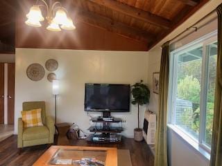 11-3681 Old Volcano Rd, Volcano, HI 96785 - photo 8