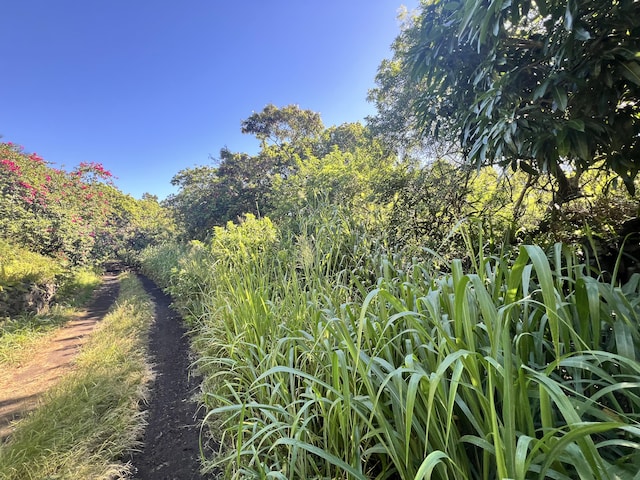 Palaoa Rd, Naalehu, HI 96772
