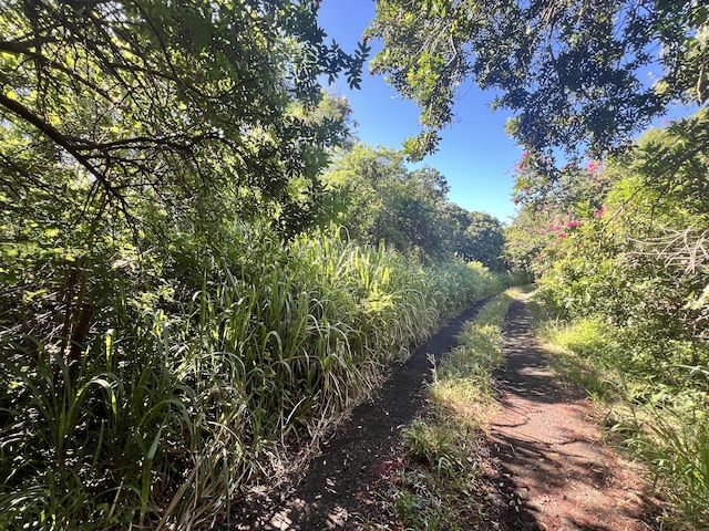 Palaoa Rd, Naalehu, HI 96772