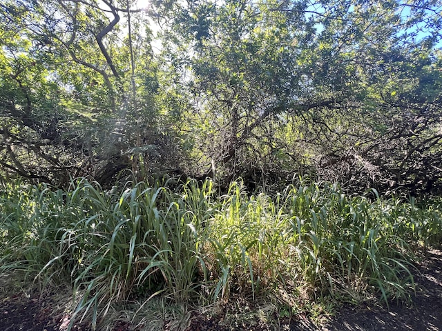 Palaoa Rd, Naalehu, HI 96772
