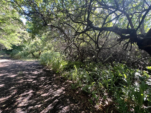 Palaoa Rd, Naalehu, HI 96772