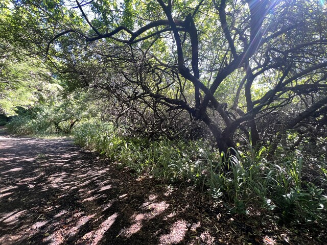 Palaoa Rd, Naalehu, HI 96772