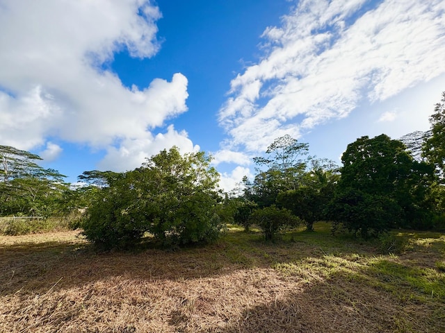 15-1698 19th Ave, Keaau, HI 96749 - view of local wilderness