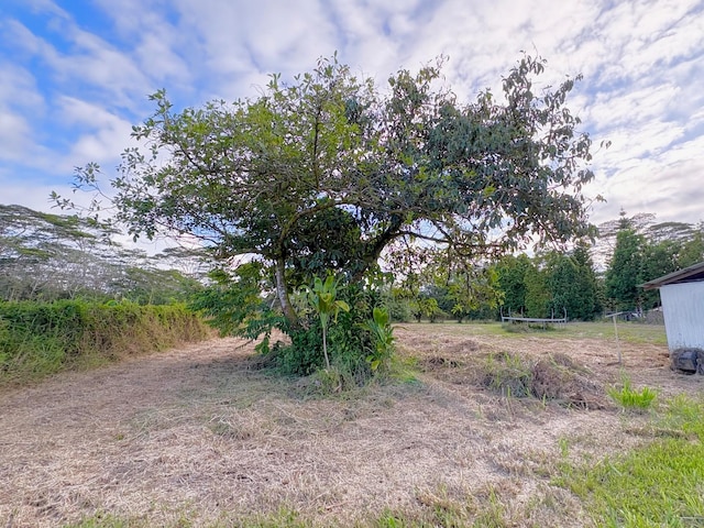 15-1698 19th Ave, Keaau, HI 96749 - view of yard