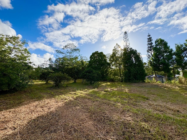 15-1698 19th Ave, Keaau, HI 96749 - view of yard
