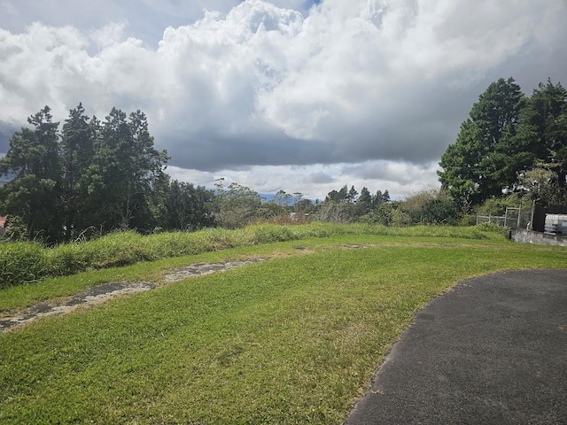 64-635 Kolohala Pl, Kamuela, HI 96743 - photo 3