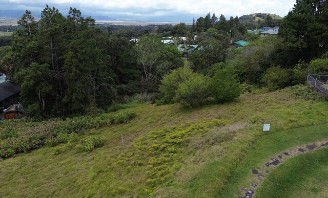 64-635 Kolohala Pl, Kamuela, HI 96743 - photo 9
