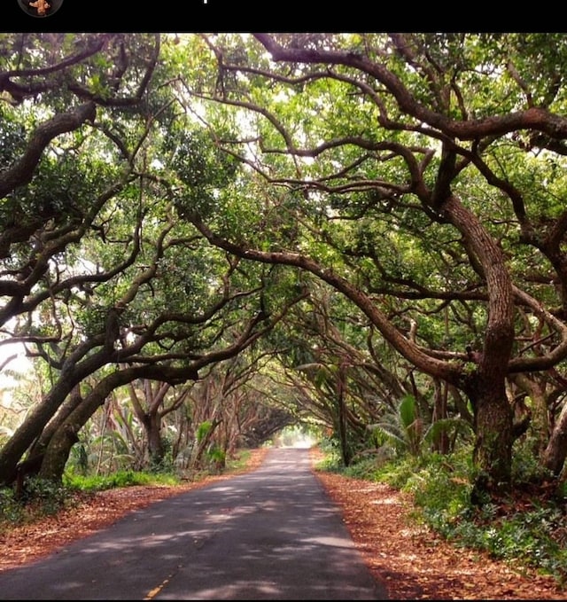 Kamoamoa St, Pahoa, HI 96778