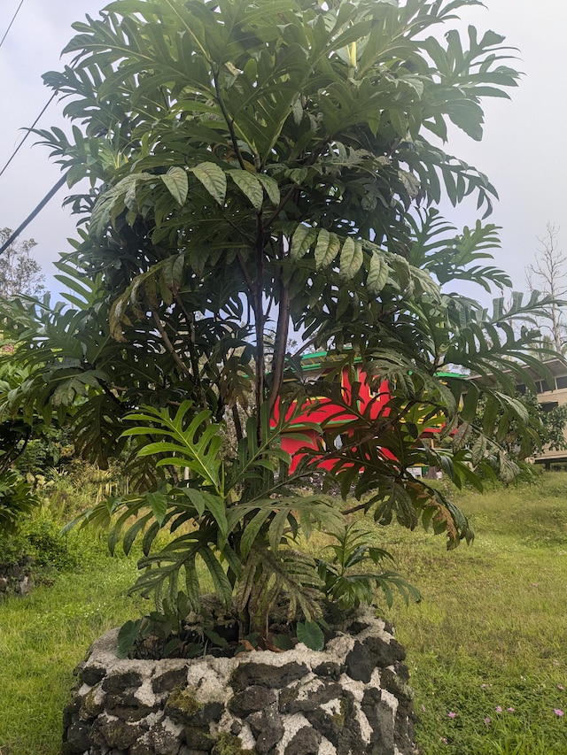 Diamond Head Rd, Pahoa, HI 96778