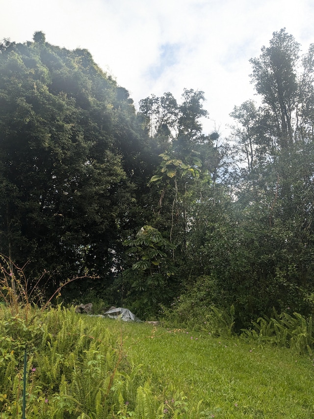 Diamond Head Rd, Pahoa, HI 96778