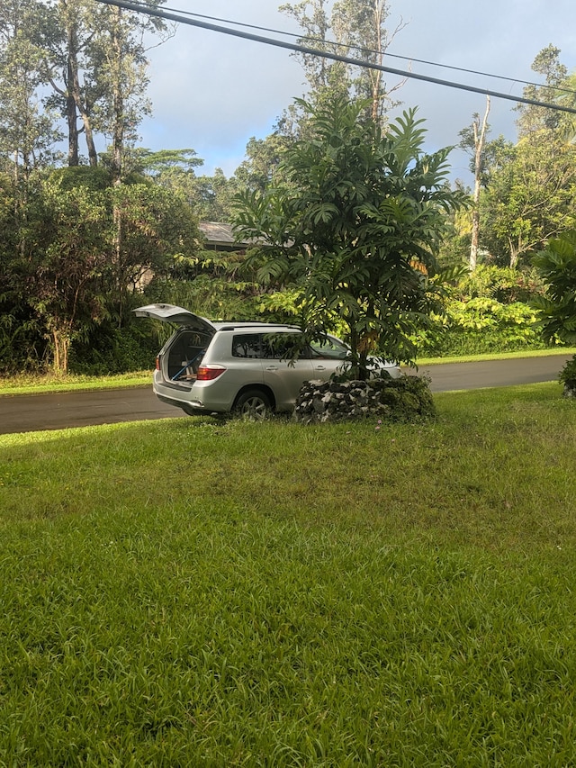Diamond Head Rd, Pahoa, HI 96778