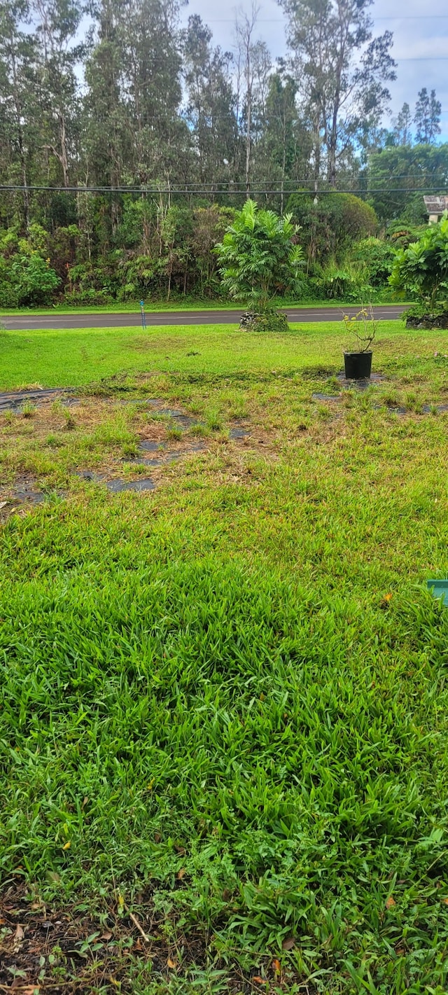 Diamond Head Rd, Pahoa, HI 96778