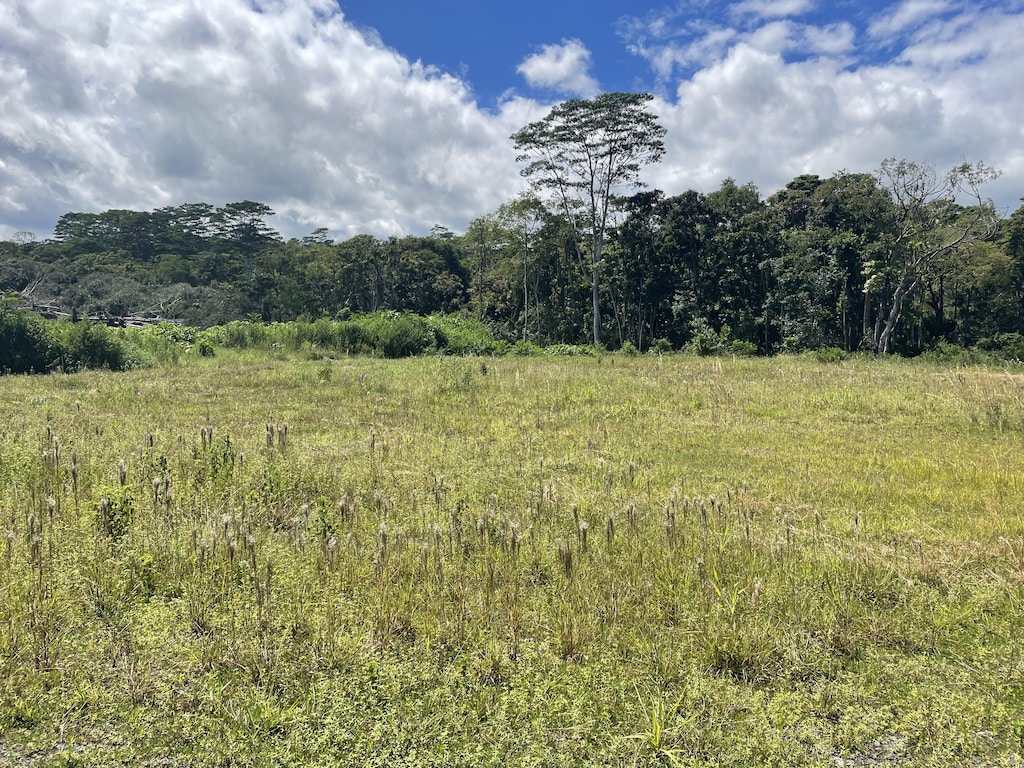 4018 Kilakila Pl, Hilo, HI 96720