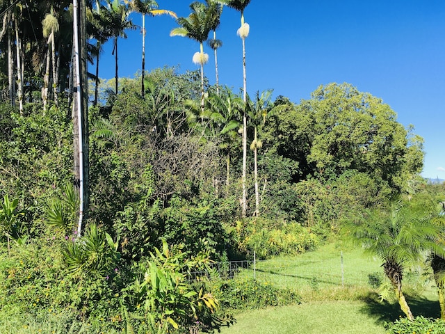 17-701 Ala Rd, Mountain View, HI 96771 - photo 1