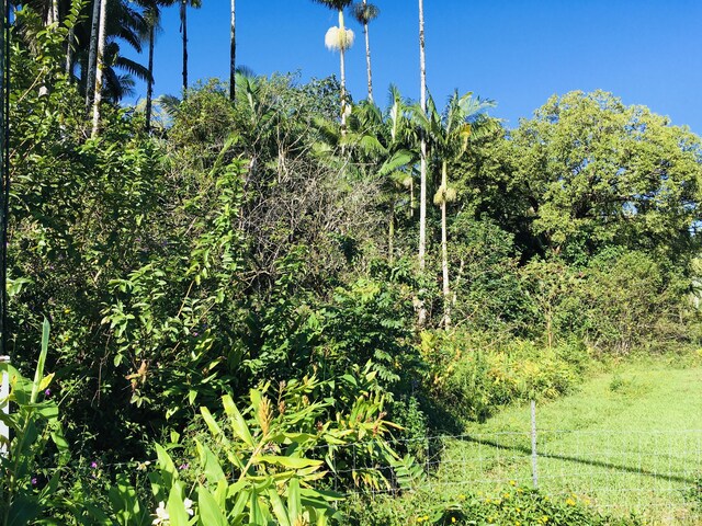 17-701 Ala Rd, Mountain View, HI 96771 - photo 3