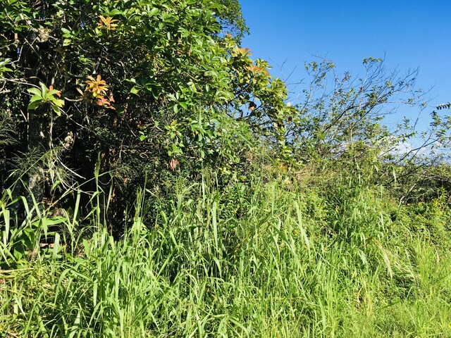 17-701 Ala Rd, Mountain View, HI 96771 - photo 5