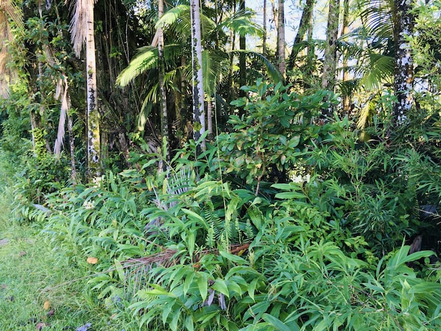 17-701 Ala Rd, Mountain View, HI 96771 - photo 7