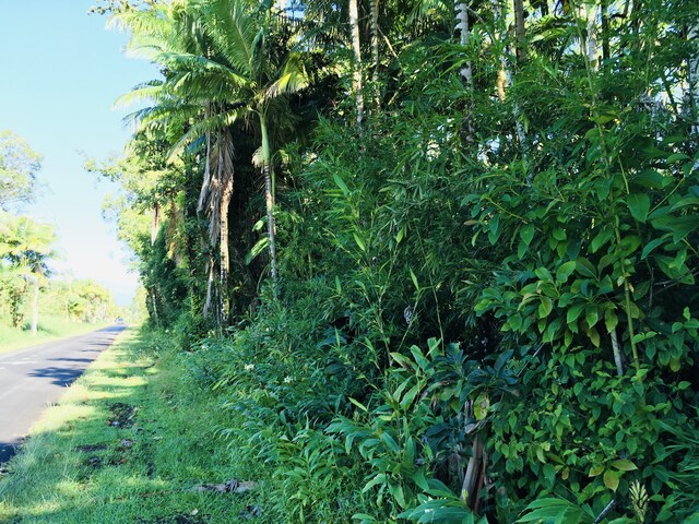 17-701 Ala Rd, Mountain View, HI 96771 - photo 8