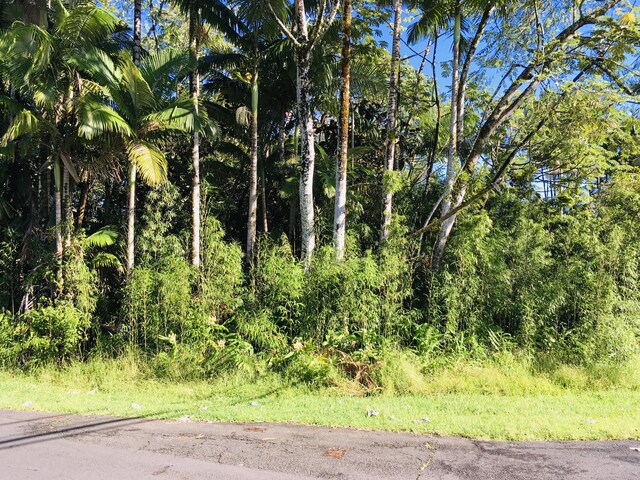 17-701 Ala Rd, Mountain View, HI 96771 - photo 10