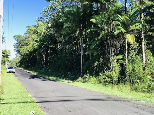 17-701 Ala Rd, Mountain View, HI 96771 - photo 11