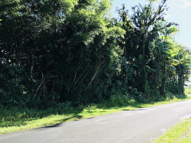 17-701 Ala Rd, Mountain View, HI 96771 - photo 17