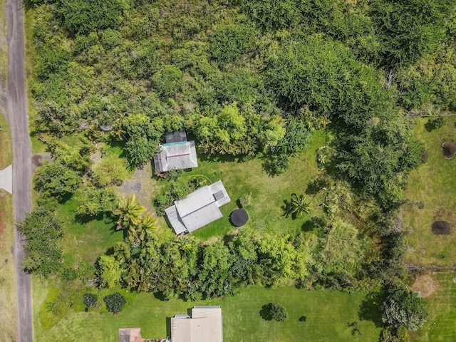 15-2056 32nd Ave, Keaau, HI 96749 - photo 3