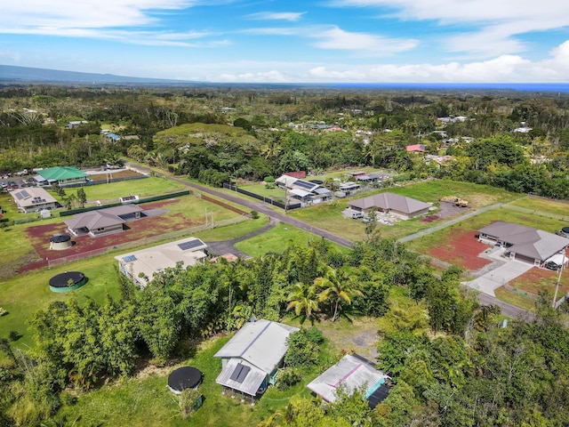 15-2056 32nd Ave, Keaau, HI 96749 - photo 4