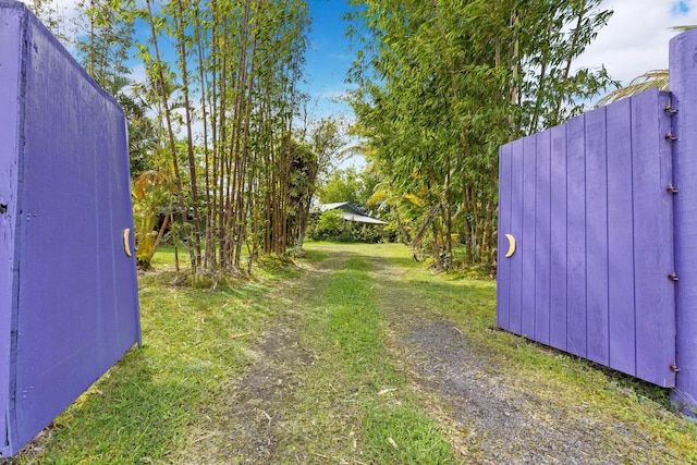 15-2056 32nd Ave, Keaau, HI 96749 - photo 5